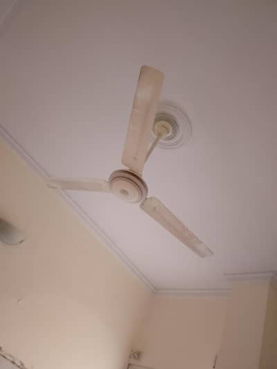 ceiling fan 3 for sale