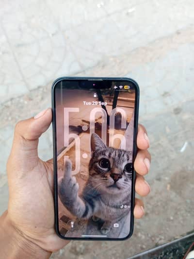 Apple iPhone 13 jv
