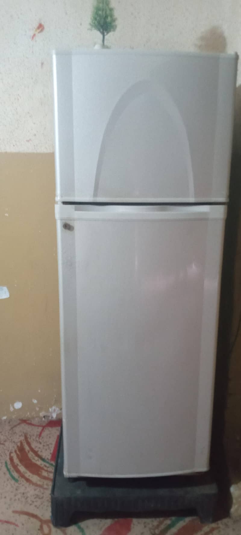 refrigerator 3