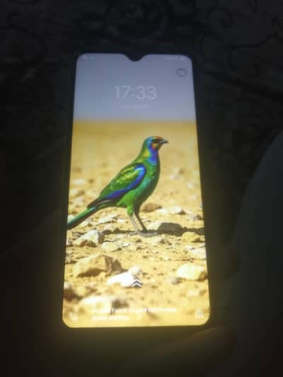 Vivo S1 exchange posibal