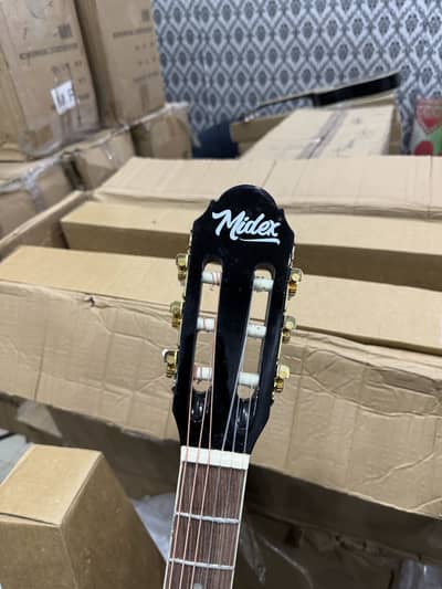 accoustic and nylon guitar