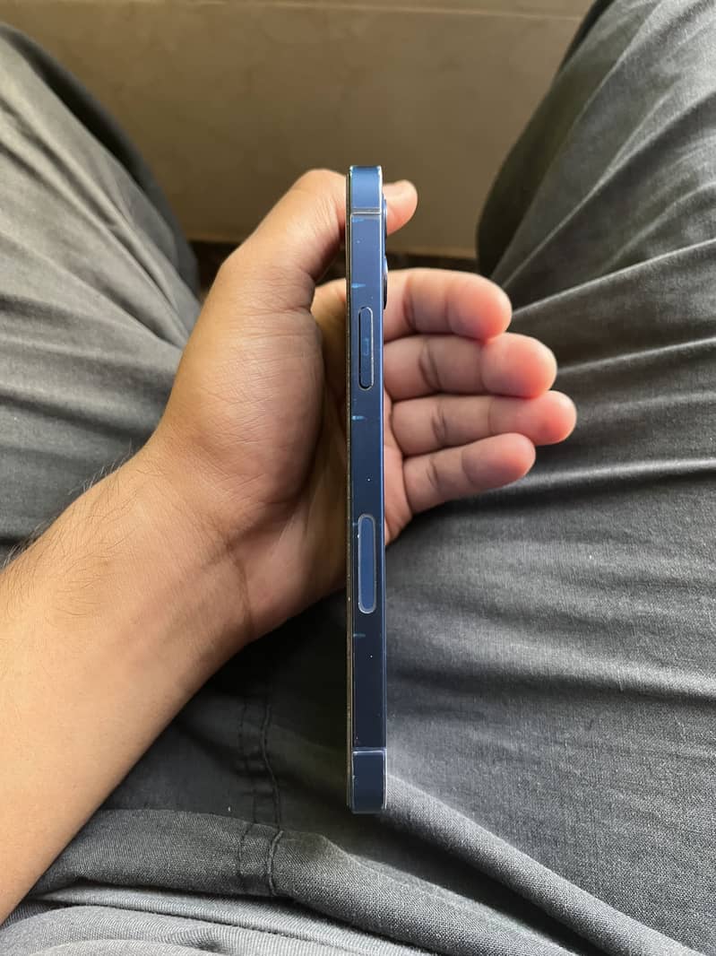 Apple iPhone 12 1