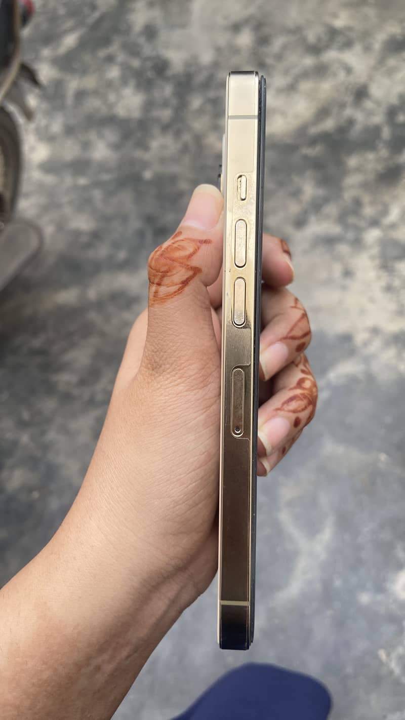 Apple iPhone 13 Pro 15