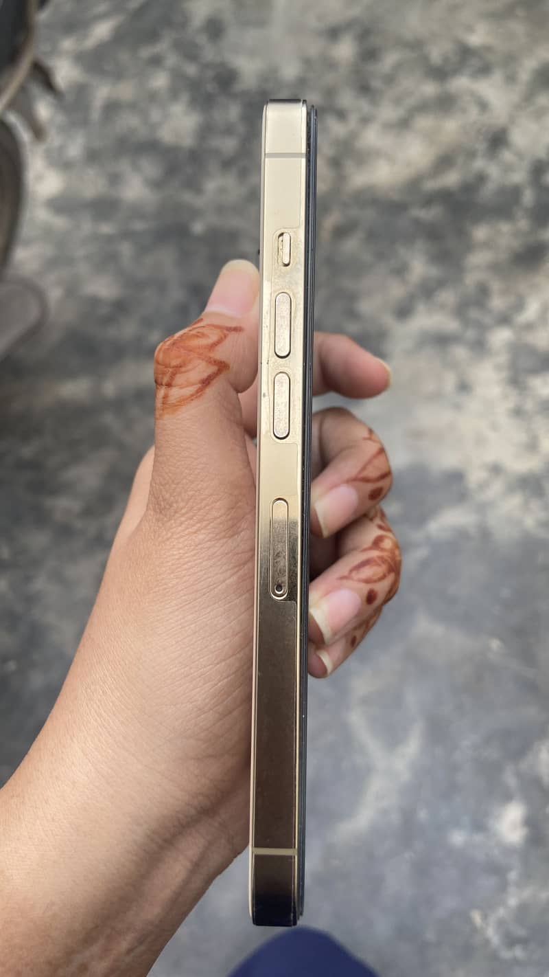 Apple iPhone 13 Pro 16