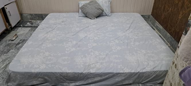 Spring Mattress 8 inch