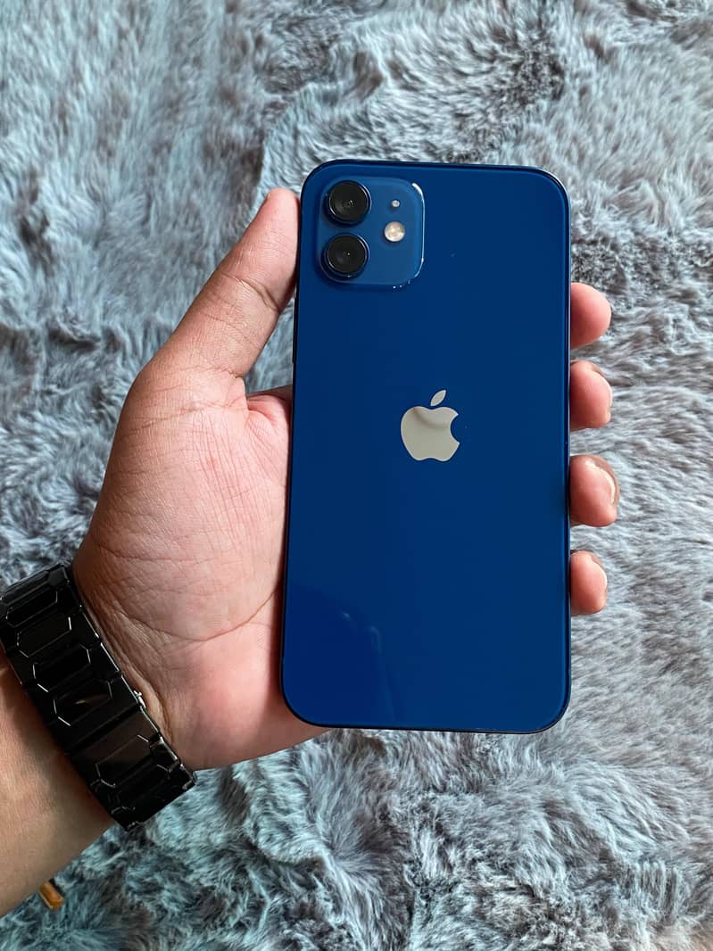 Apple iPhone 12 1