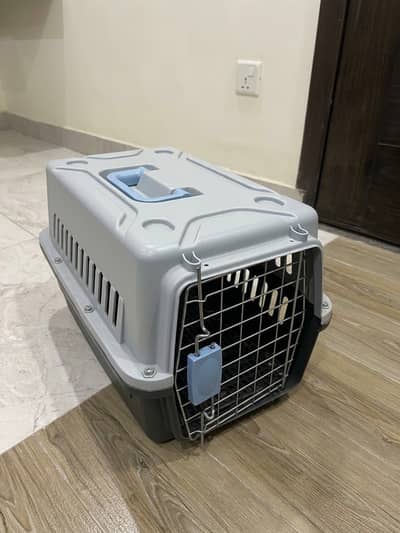 Complete Cat starter Kit