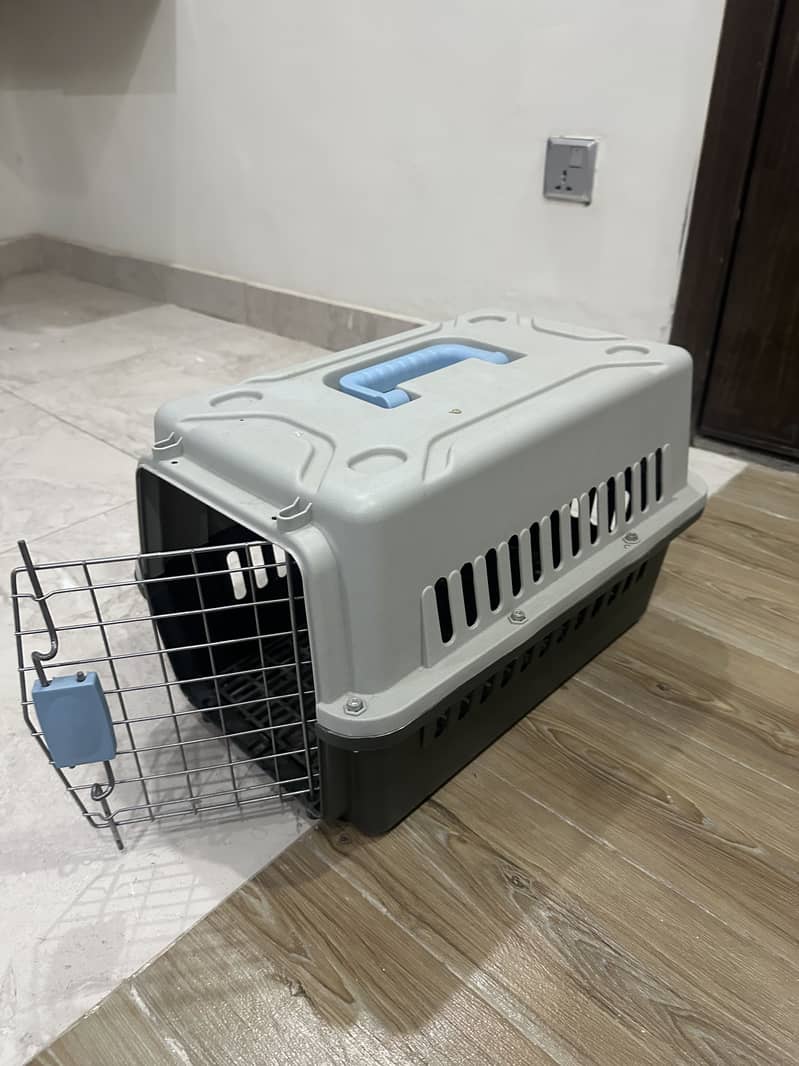 Complete Cat starter Kit 1