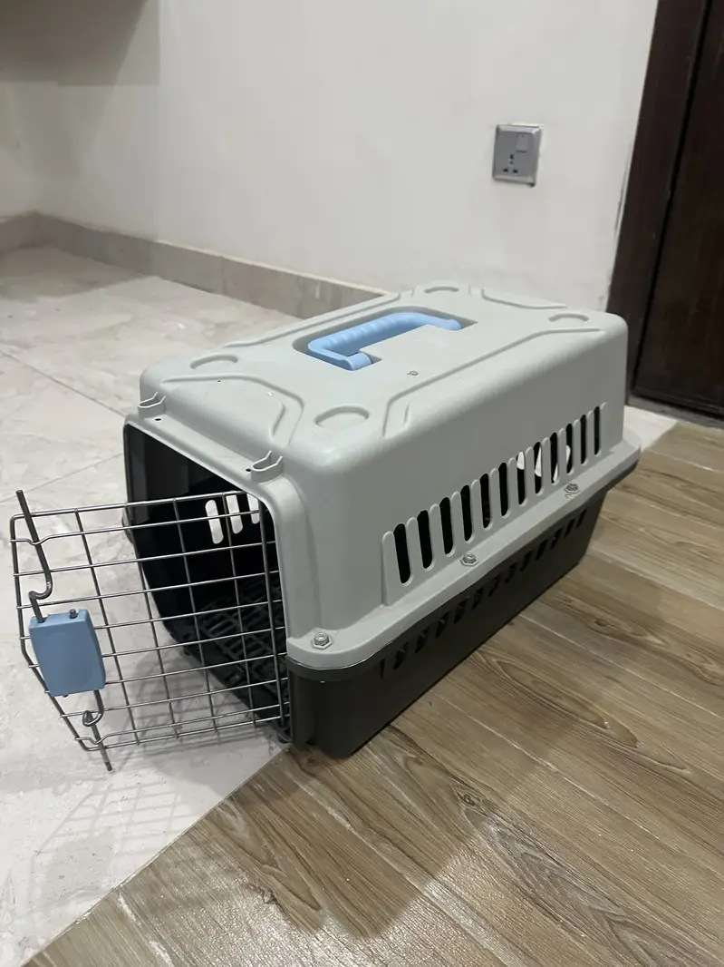 Complete Cat starter Kit — photo 2