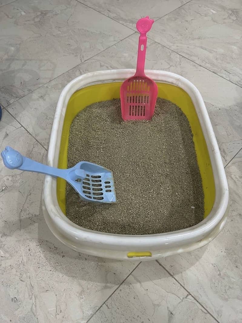Complete Cat starter Kit 3