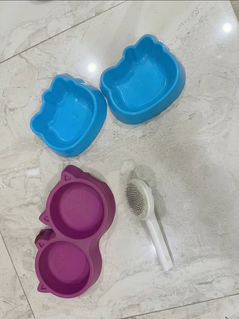 Complete Cat starter Kit 4