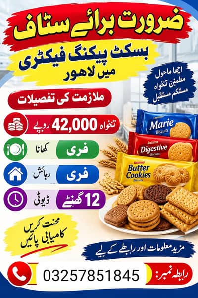 Need urgent staff Biscuits packing factory in Lahore