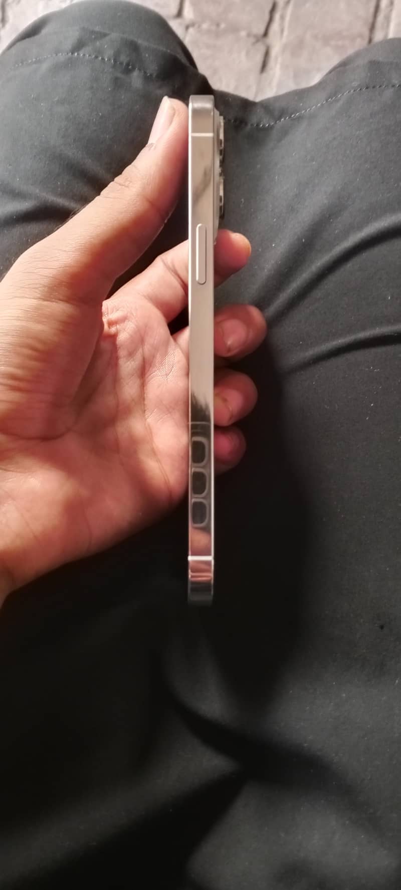 Apple iPhone 13 Pro Max 2