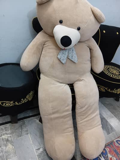 Teddy bear