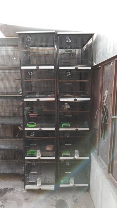 cage 5 portion available solid cage with stick and pots