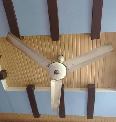 Ceiling Fan