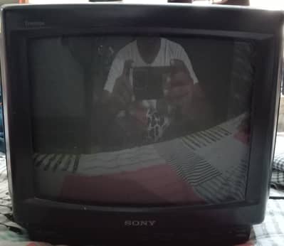 Sony Trinitron B14 TV for Sale!