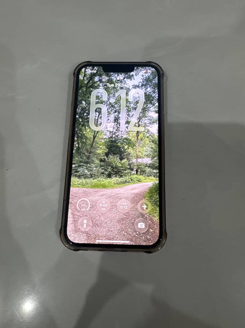 Apple iPhone 13 0