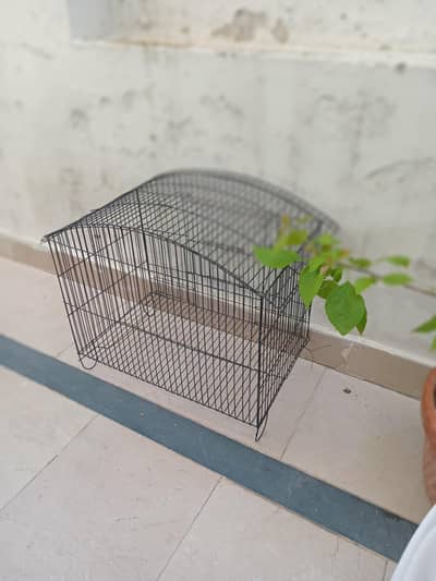 Cages for Sale