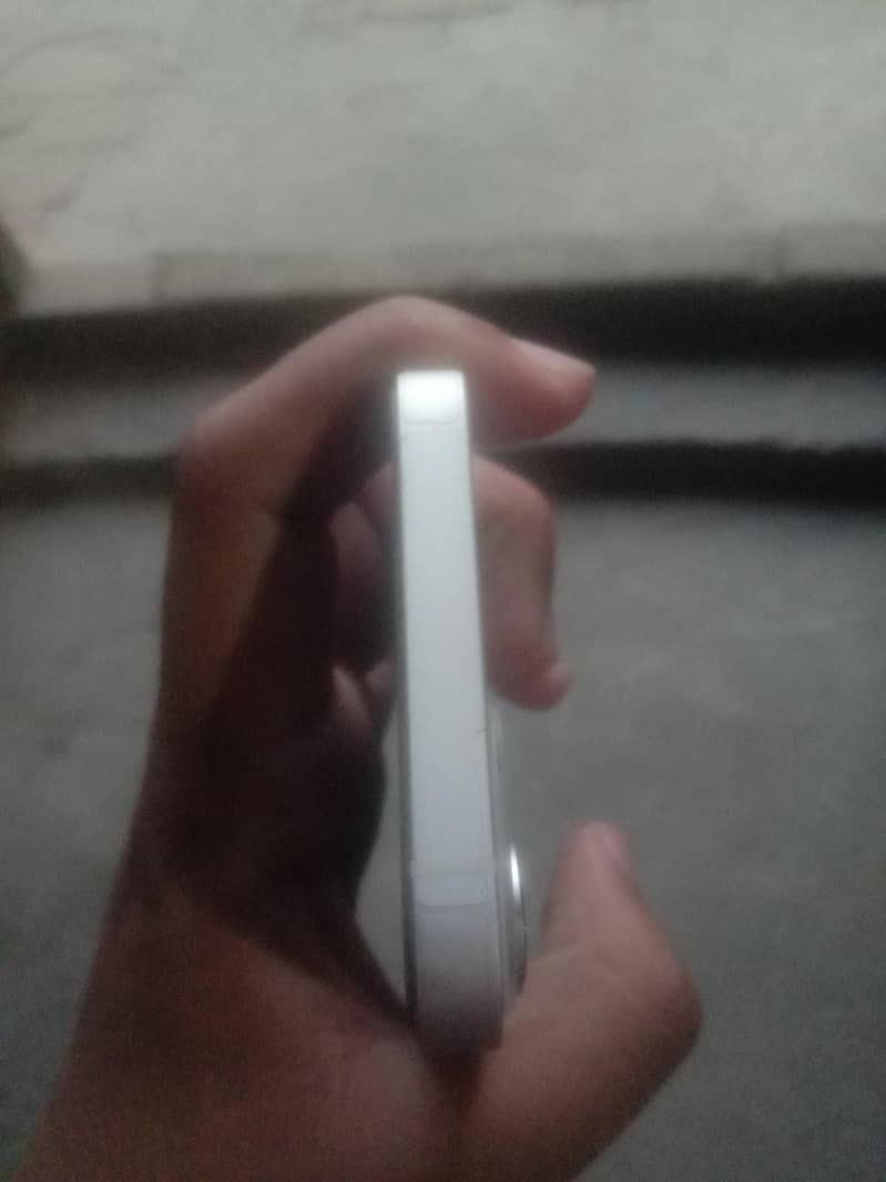 Husanan ali 3