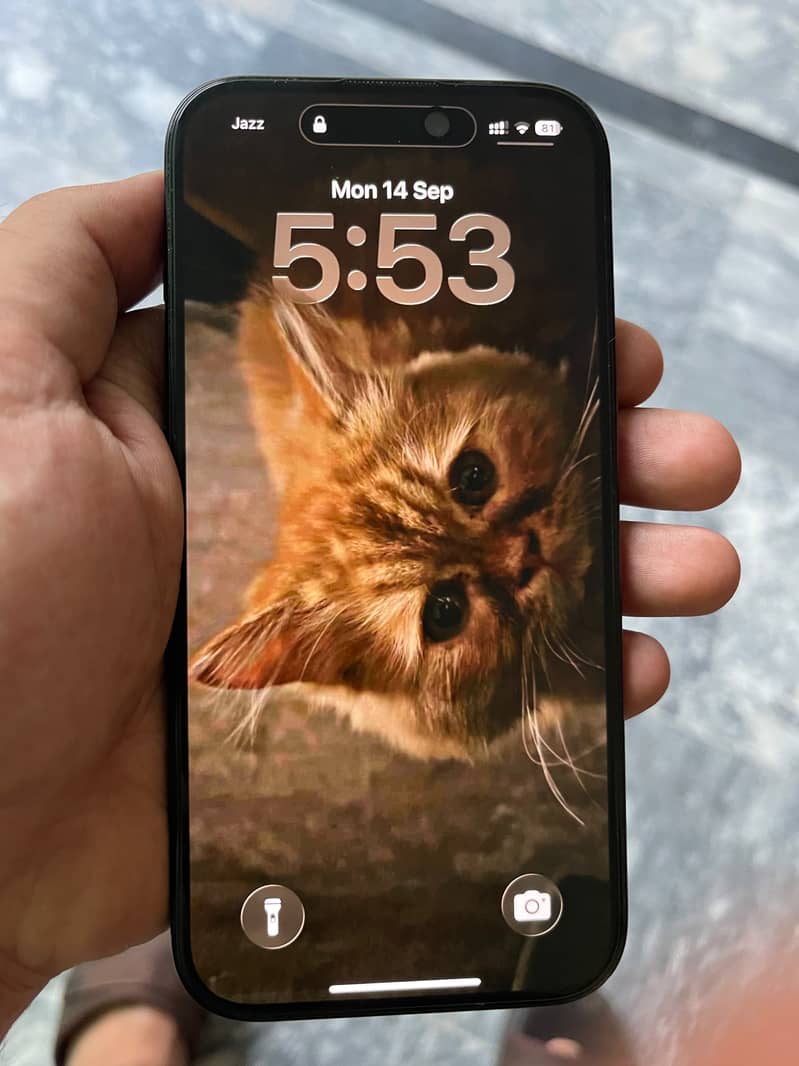 Apple iPhone 15 0