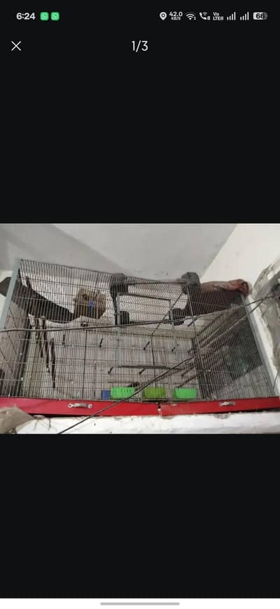 Cage Big Flying pet enclosure