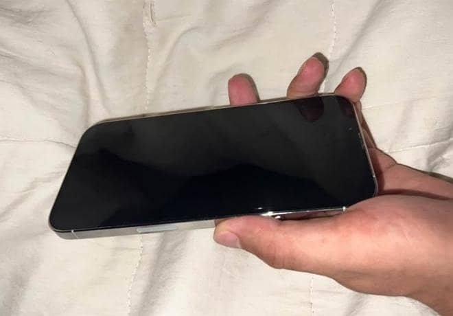 Apple iPhone 13 Pro Max 4