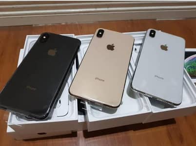 XS Max 256