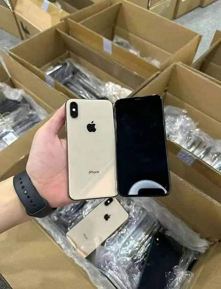 XS Max 256 3