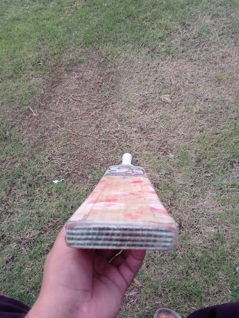 CA Dragion Hard Ball 0