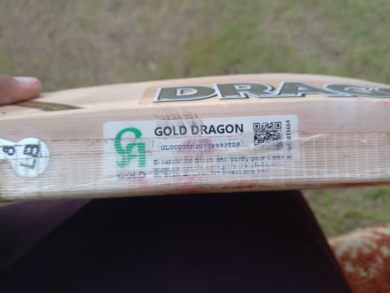 CA Dragion Hard Ball 1