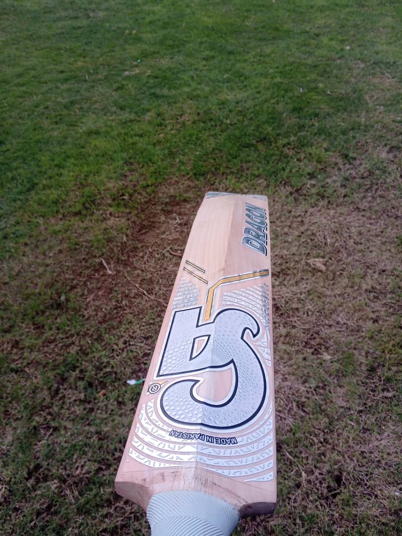 CA Dragion Hard Ball 2