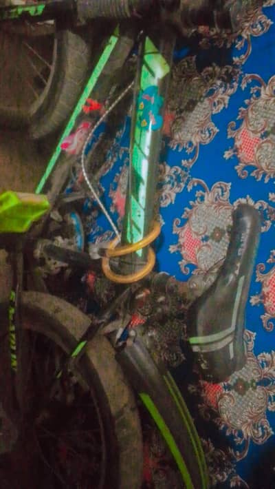 cycle