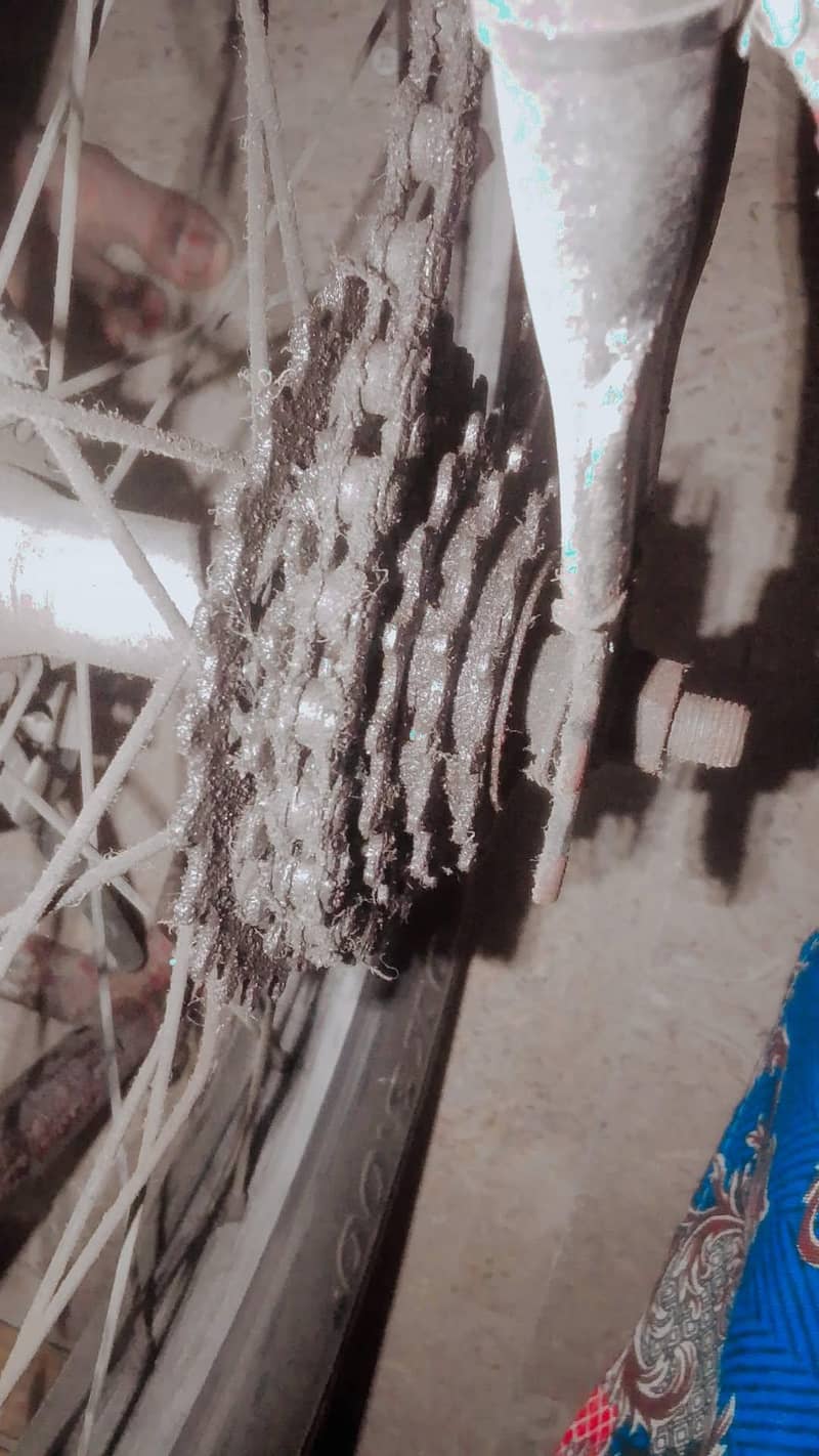 cycle 2