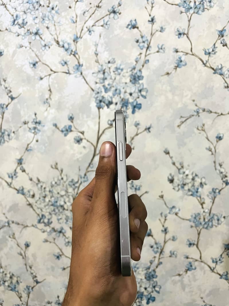 Apple iPhone 12 Pro 4