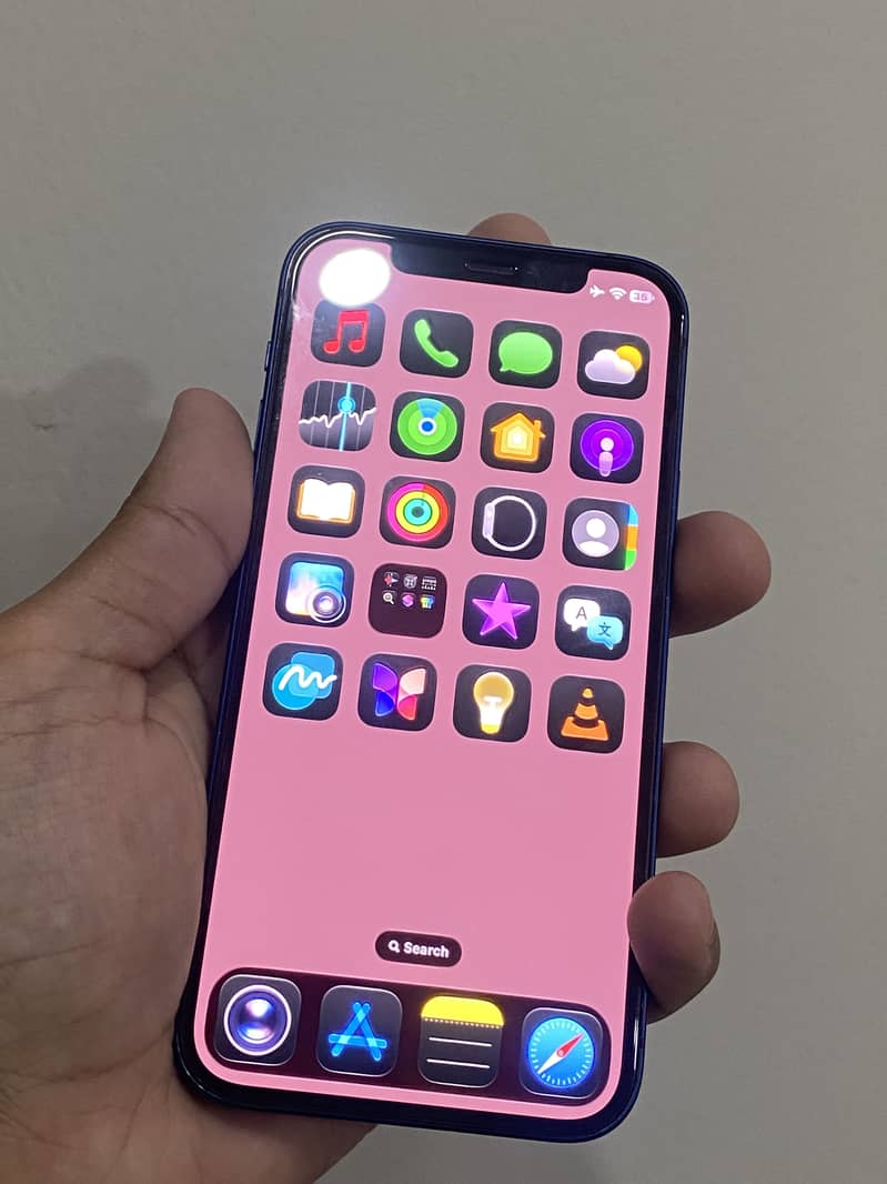Apple iPhone 12 2