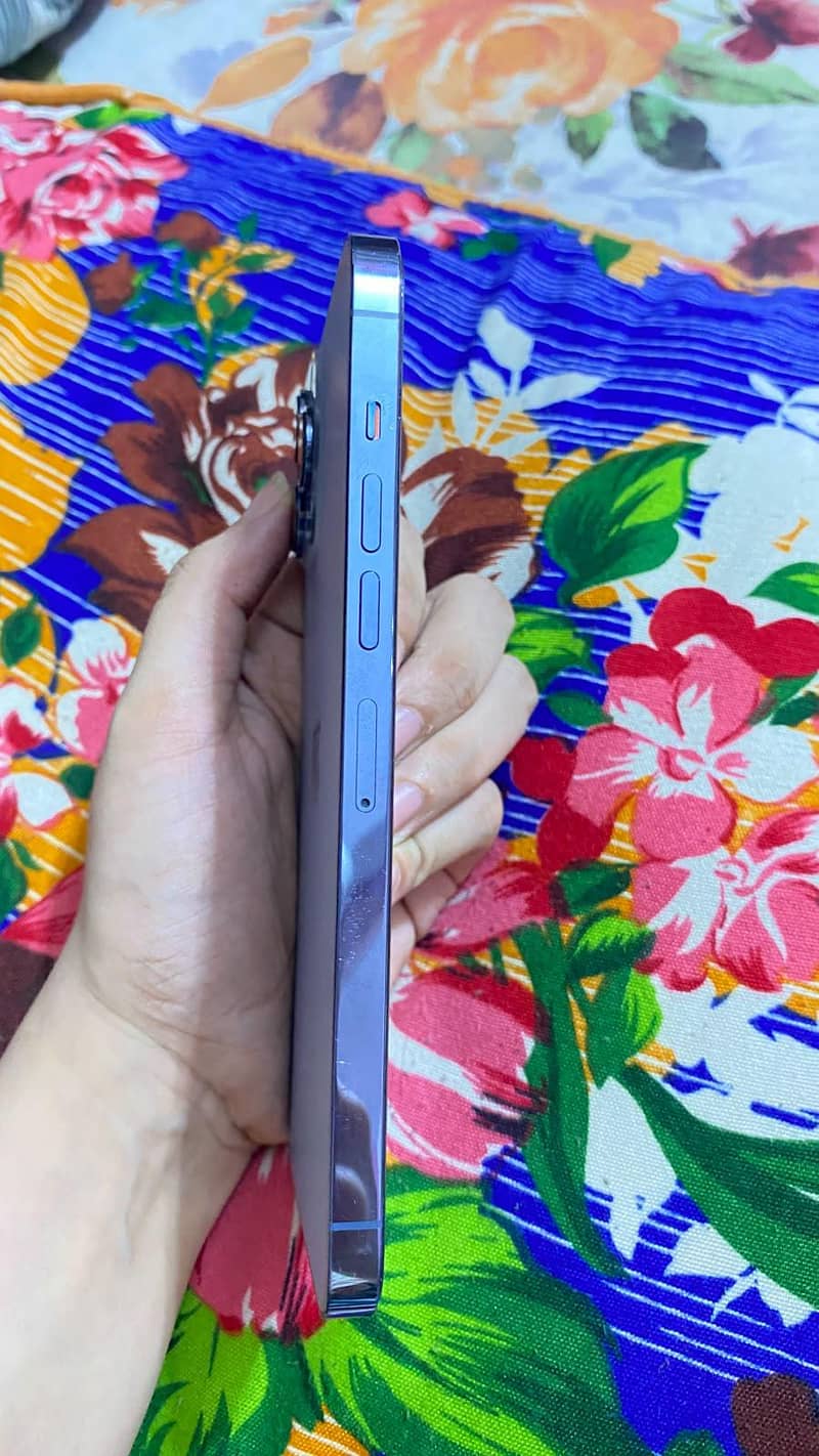 Apple iPhone 13 Pro Max 2