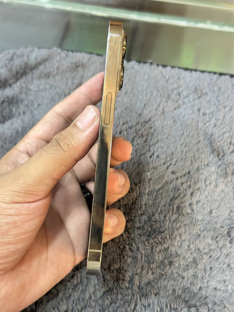 Apple iPhone 13 Pro 1