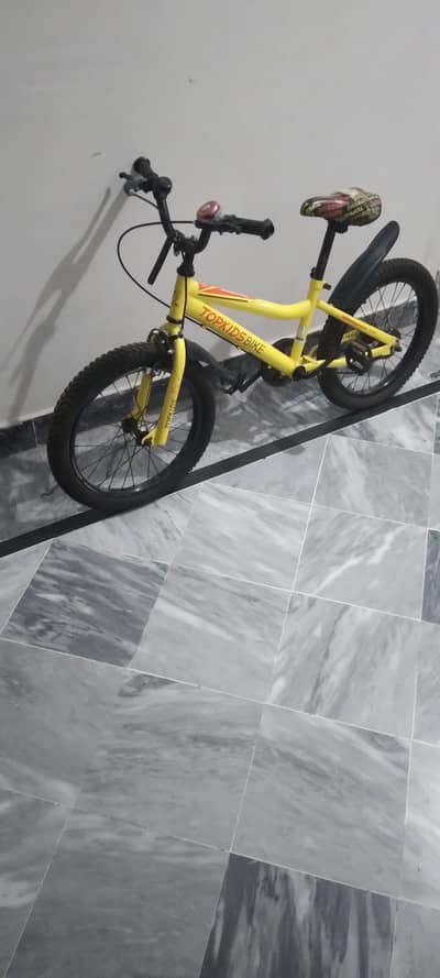 Top Kids Mountain Bike – Good Condition