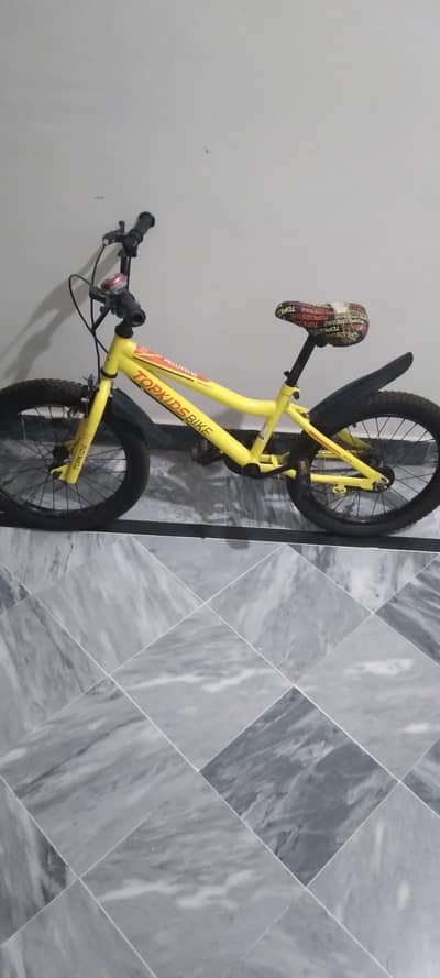Top Kids Mountain Bike – Good Condition