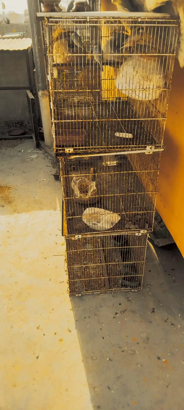 cage of bajri complete setup and jawas — photo 2