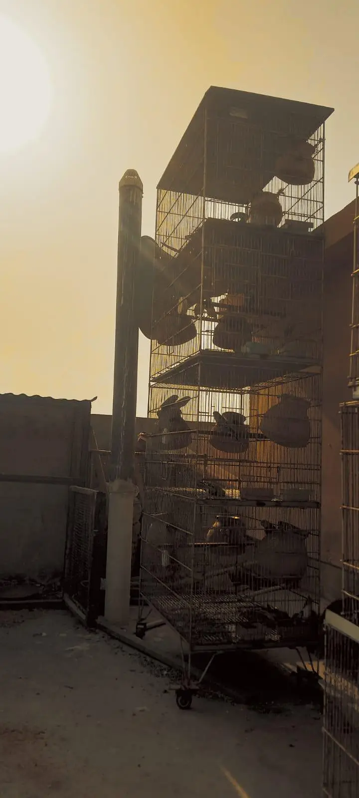 cage of bajri complete setup and jawas — photo 3
