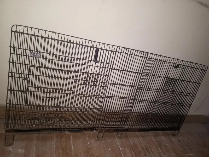 HEAVY DUTY IRON MOTI JAALI WALA BIRDS AND ANIMALS CAGES IN BEST PRIZES — photo 2