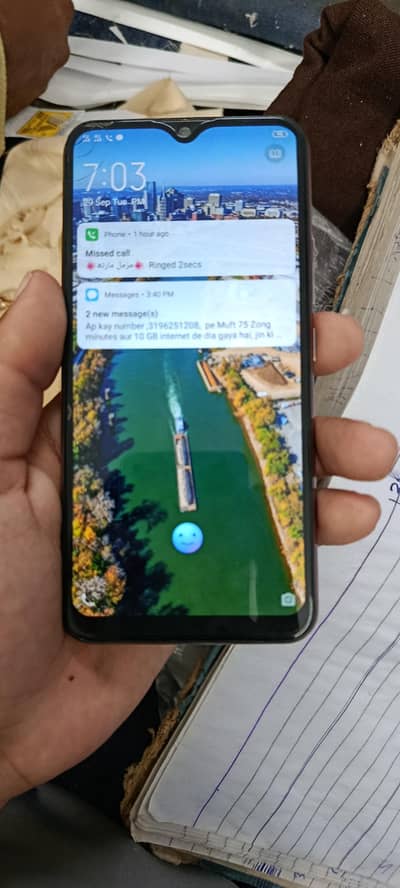 Vivo Y17