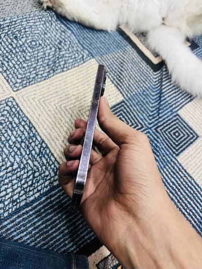 Apple iPhone 14 Pro Max JV