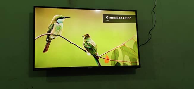 Orient 43 inch LED