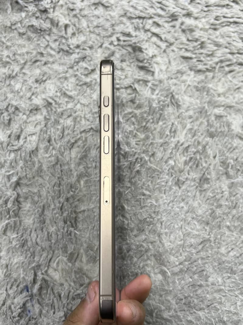 Apple iPhone 16 Pro Max 2