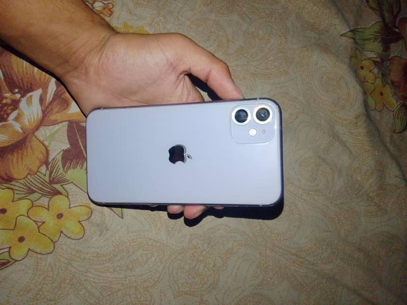 Apple iPhone 11 0