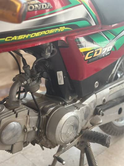 CD70cc