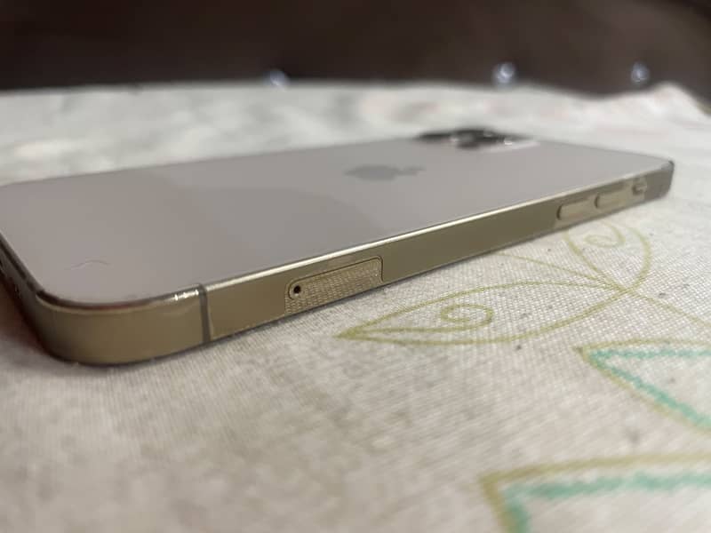 Apple iPhone 12 Pro 1